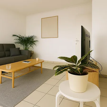 Avec Terrasse Appartement *