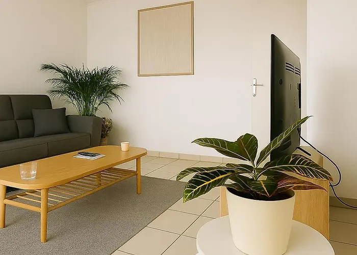 Avec Terrasse Apartment *